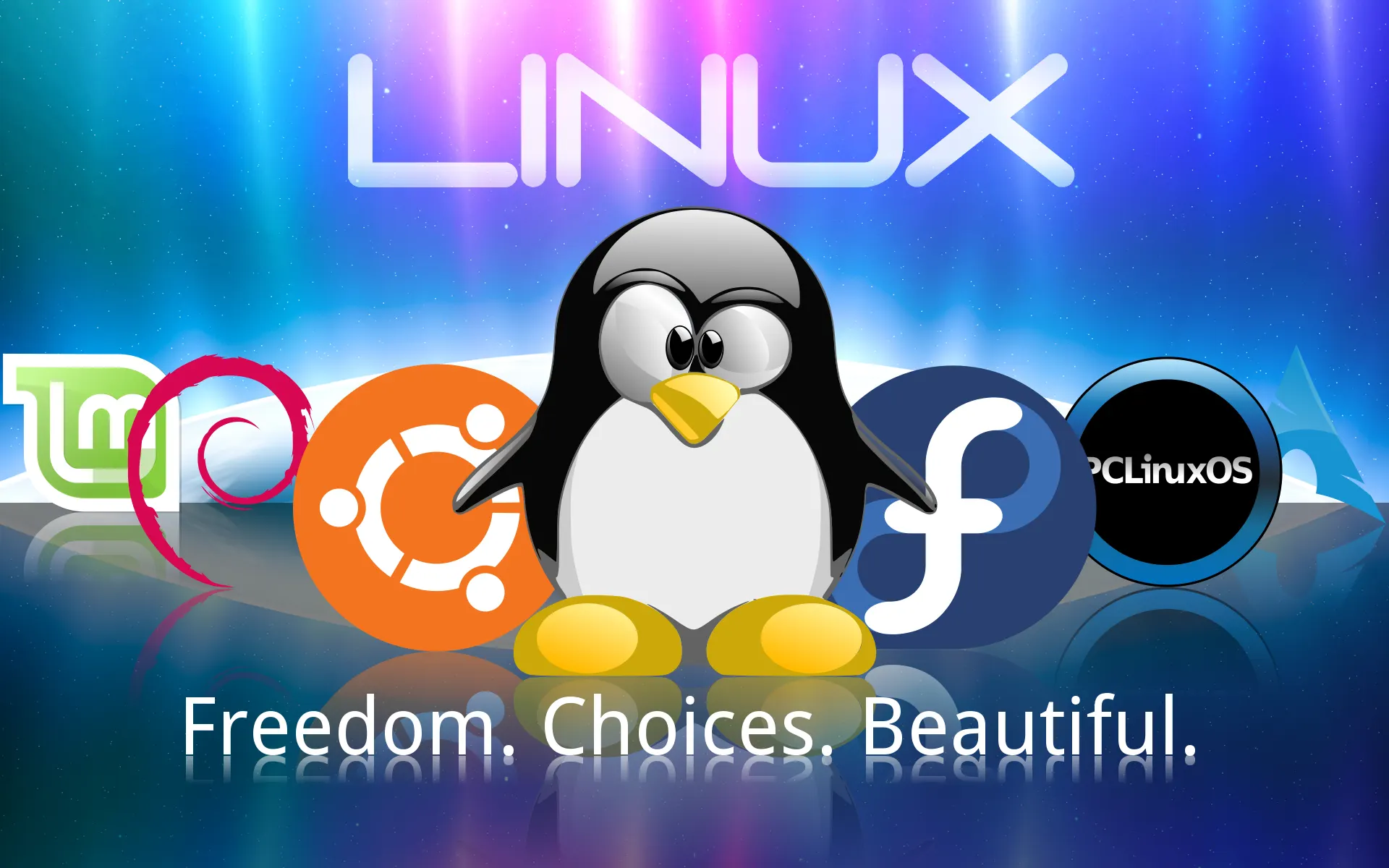 Shotwell 23.1: an easy to use Linux Photo Manager