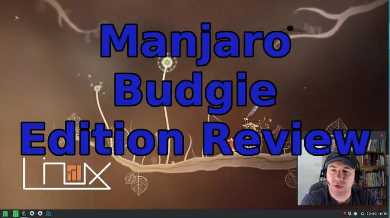 Manjaro Budgie Edition Review
